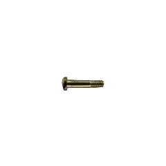 Hinge Screws