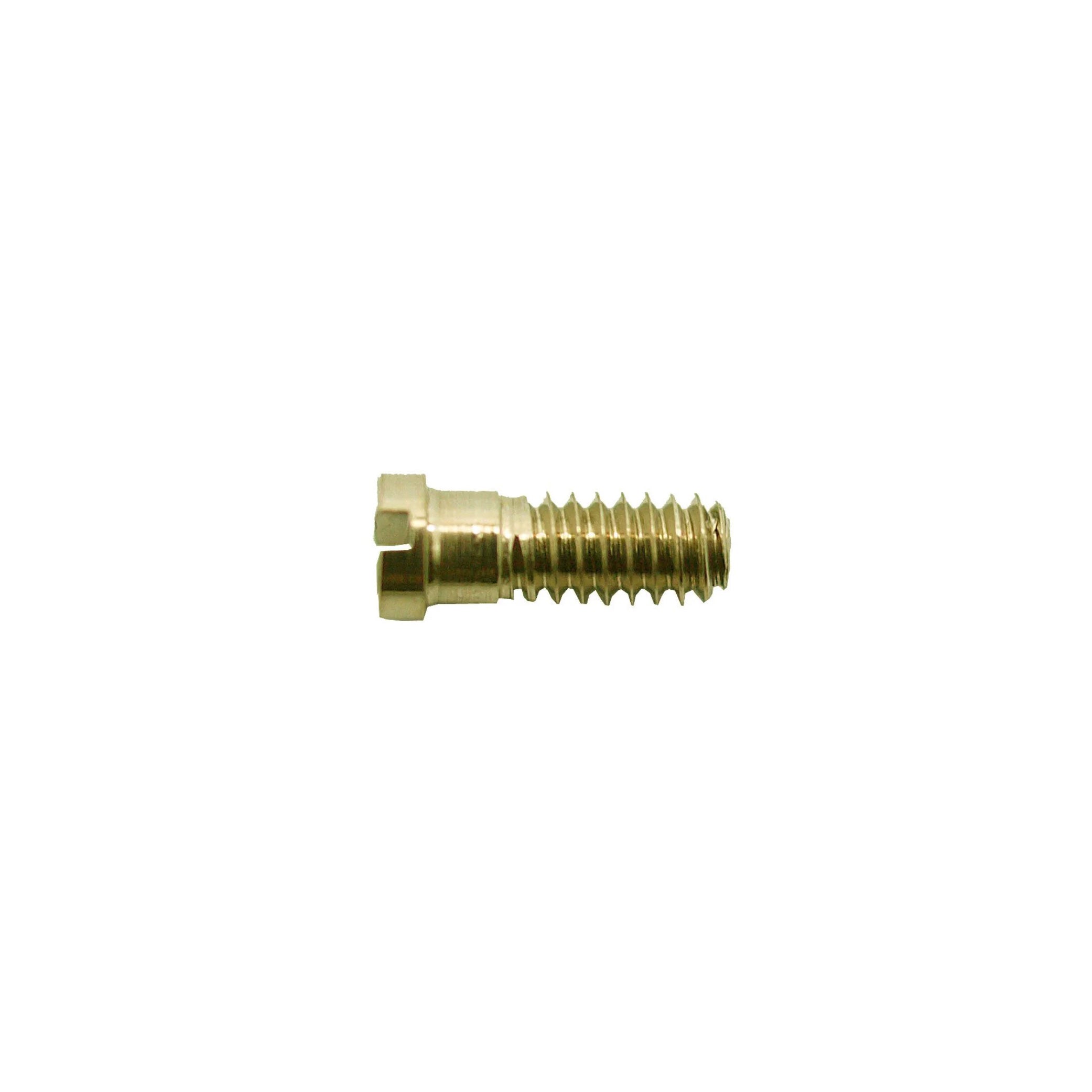 1.4mm (dia) hinge screws