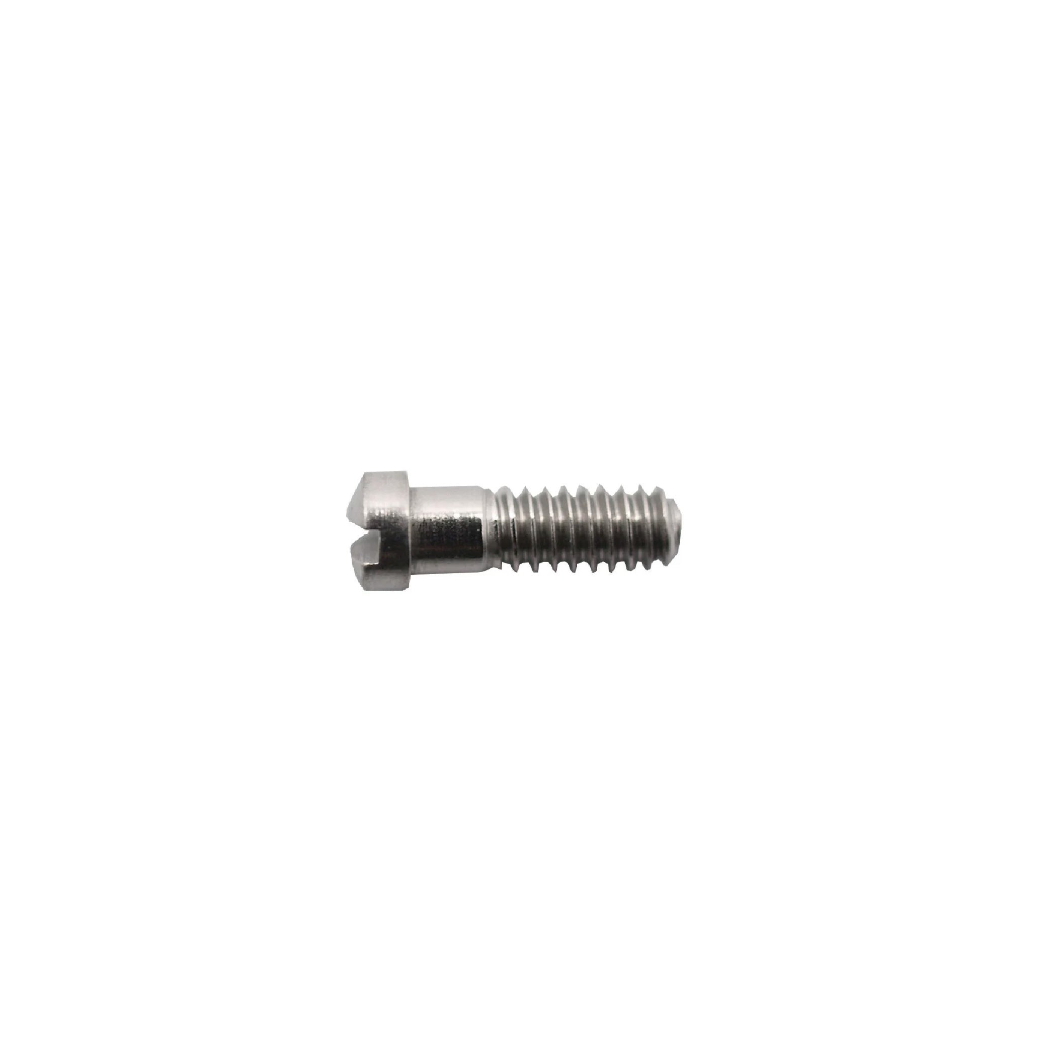 Vis à charni­ère 1.2mm (dia)
