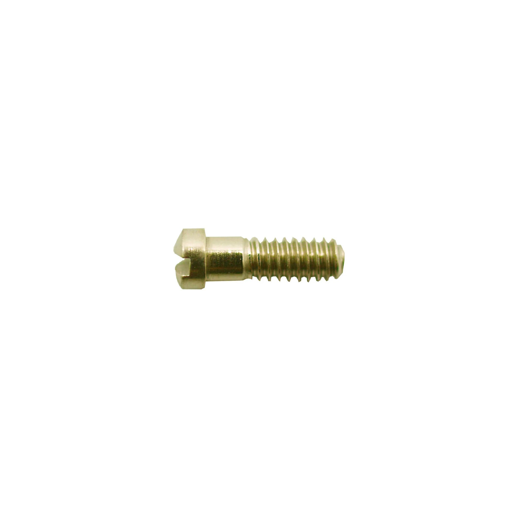 Vis à charni­ère 1.2mm (dia)