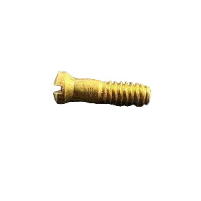 Hinge Screws