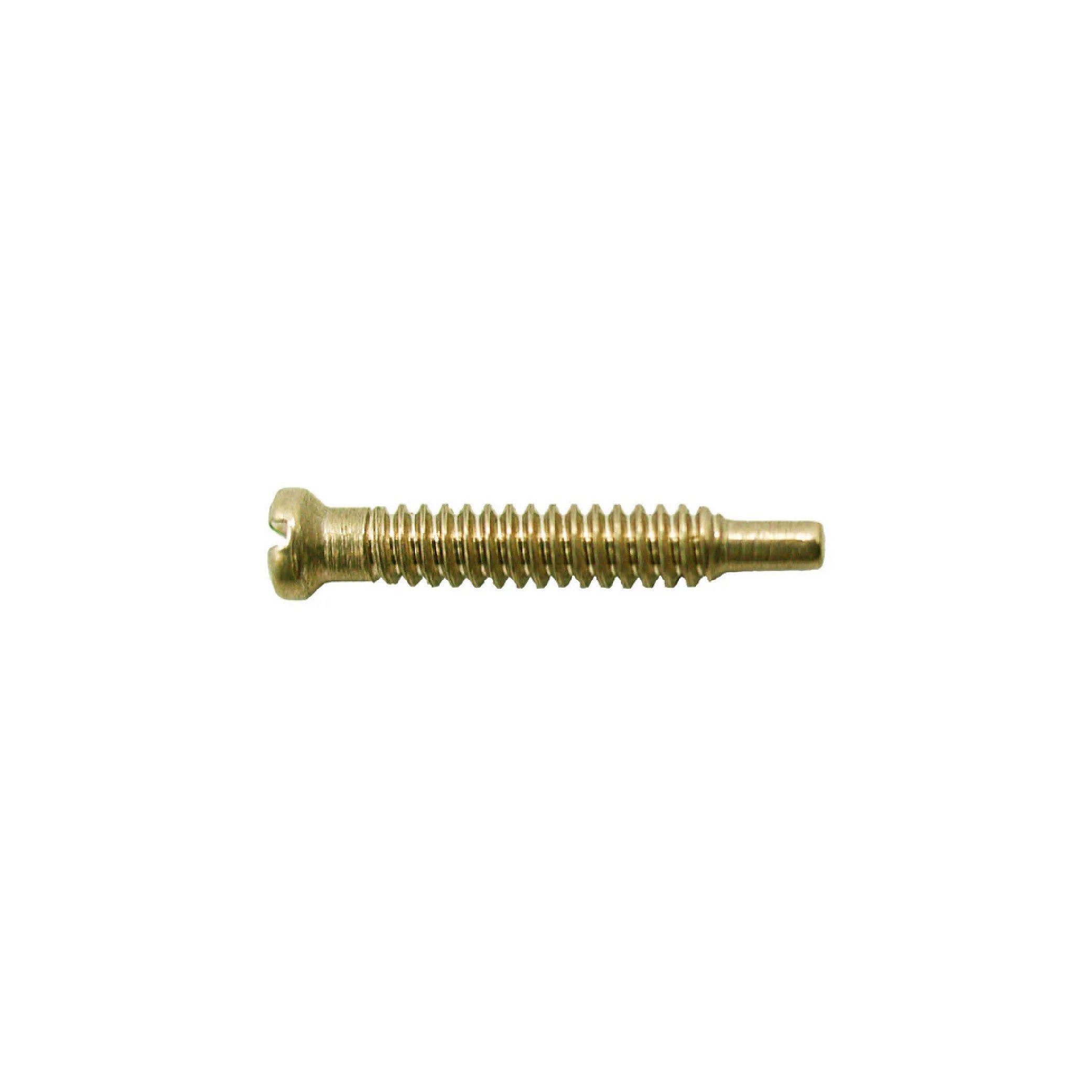 Vis autotaraudeuses 1.5mm (dia)