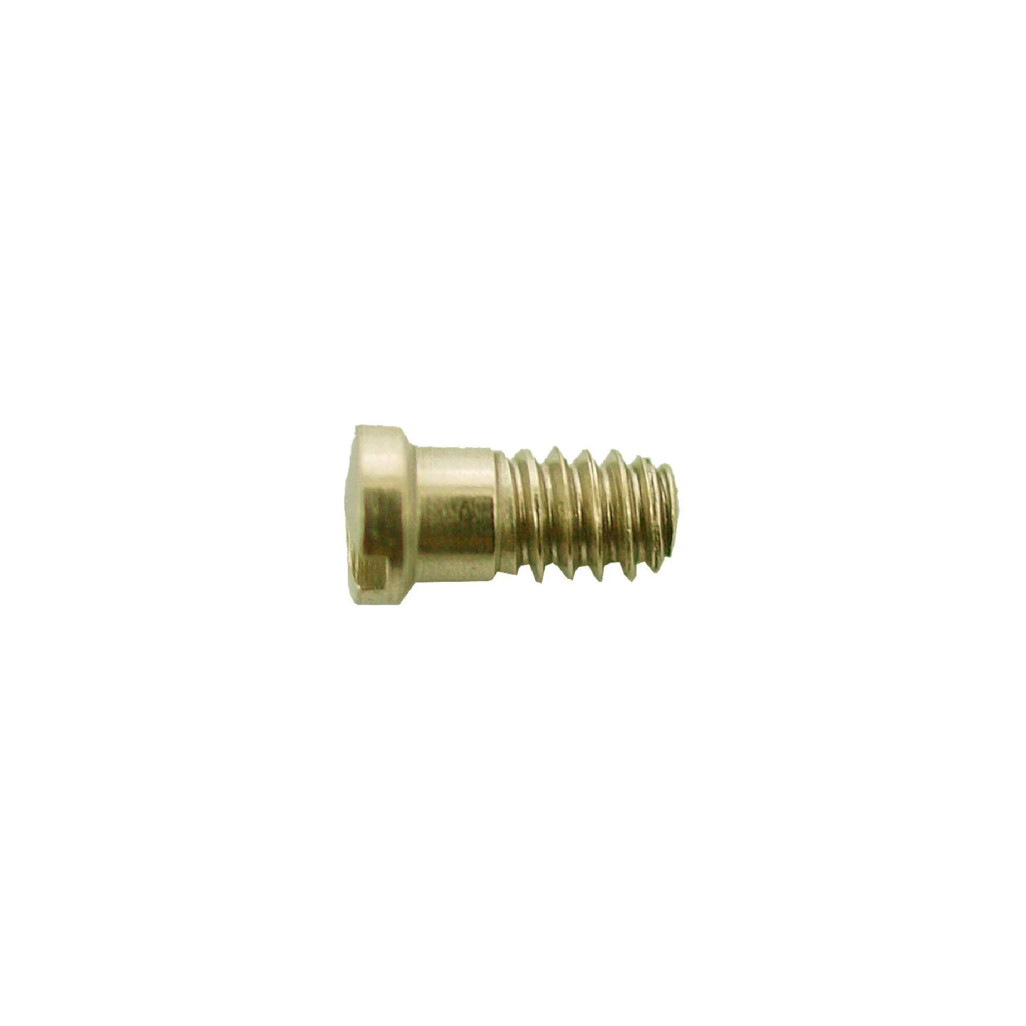Vis à charni­ère 1.4mm (dia)